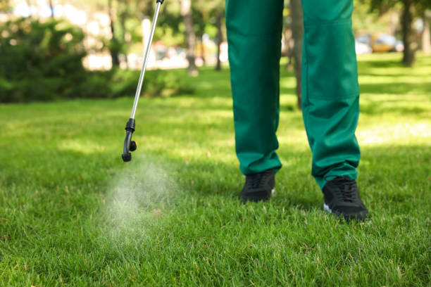 Best Commercial Pest Control Services  in Prairie Village, KS