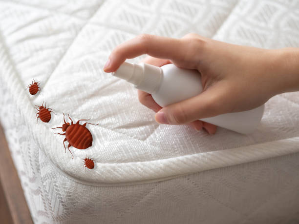 Best Best Pest Control Companies  in Prairie Village, KS